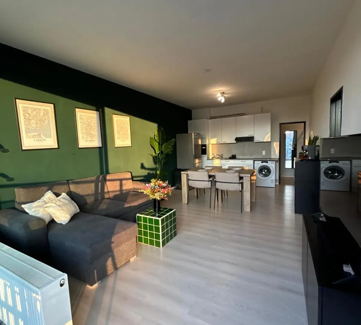 Central Apartment With City Park View And Terrace Antverpy